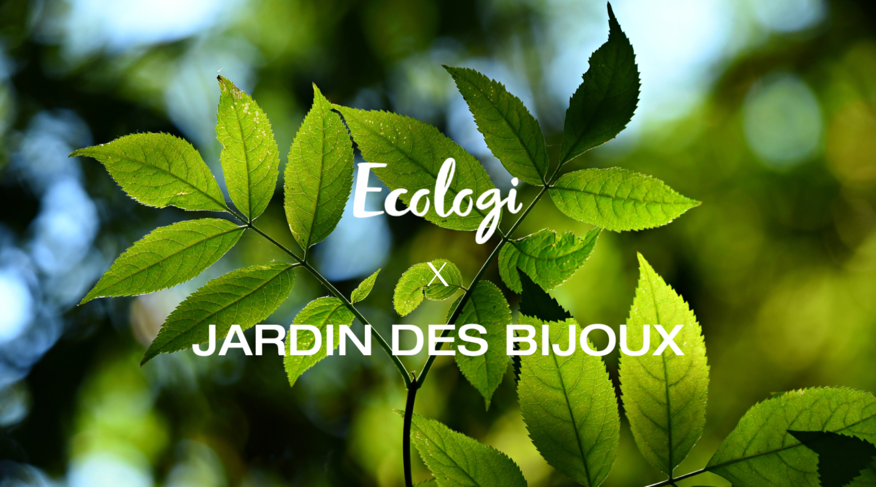 Jardin des Bijoux écologi 1 commande = 1 arbre planté
